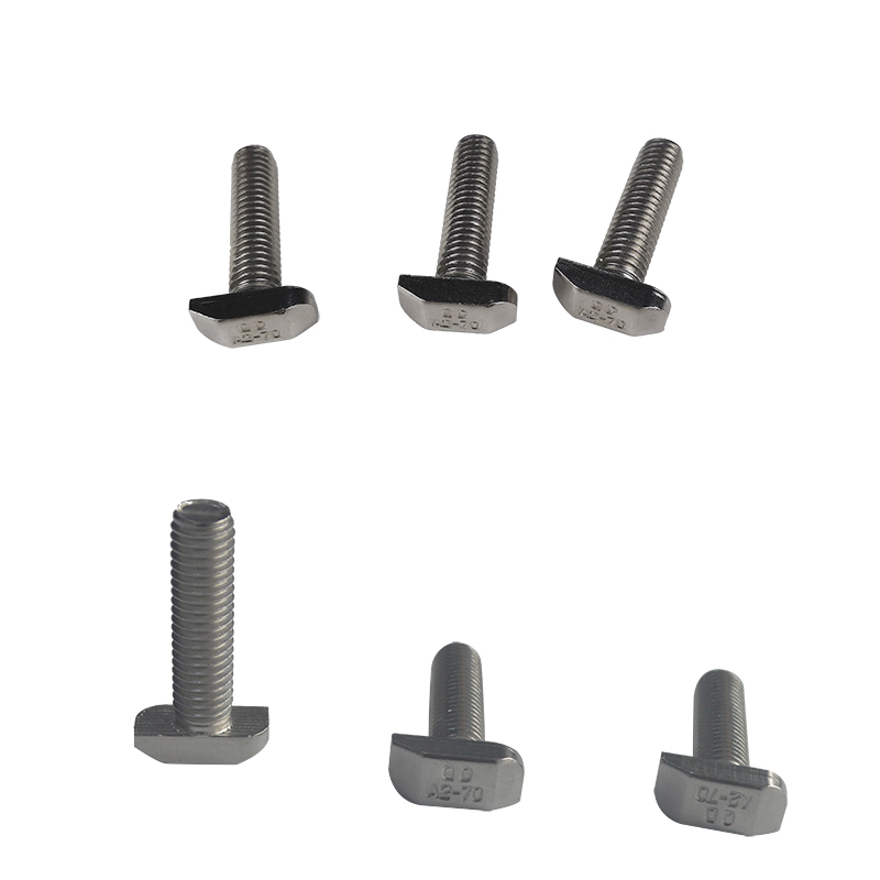 Solar stainless steel fastener T bolt 