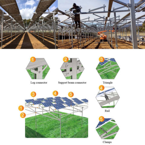 Agriculture solar mounting system