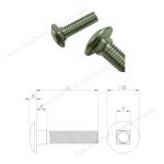 carriage screw M10