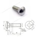 25mm carriage bolt