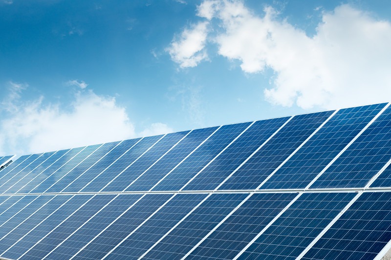 Driving the Green Energy Trend in 2025