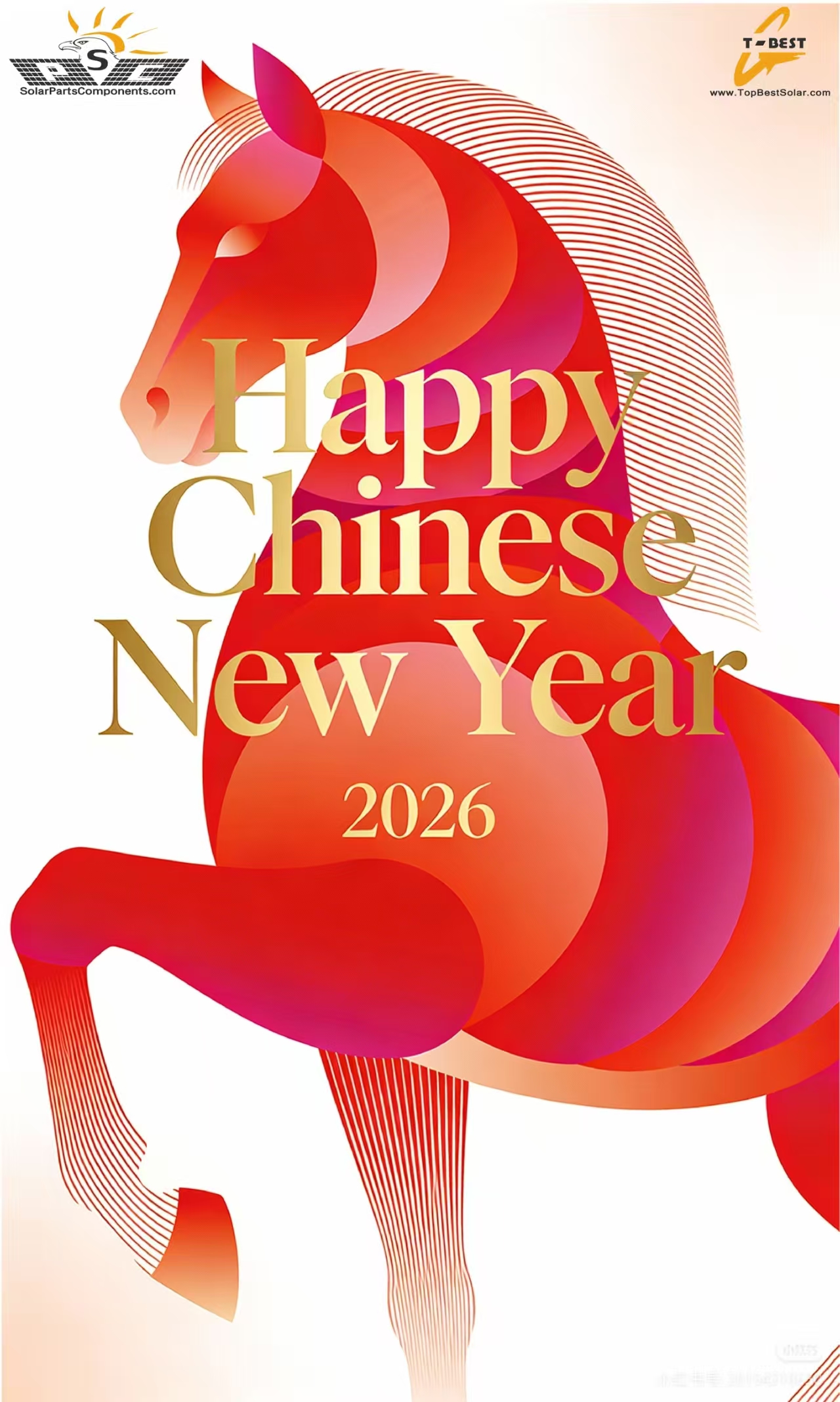 Chinese New Year Holiday Notice 2026